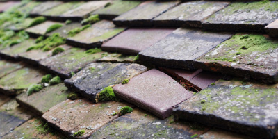 Great Gidding roof repair costs
